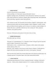 Bėrimas ir niežulys 11 puslapis