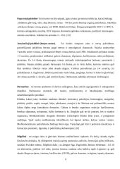 Bėrimas ir niežulys 8 puslapis