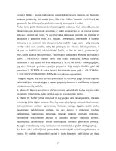 Besiskiriančių ir išsiskyrusių šeimų vaikų problemos 14 puslapis