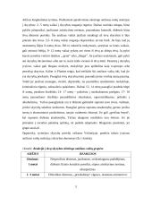 Besiskiriančių ir išsiskyrusių šeimų vaikų problemos 5 puslapis