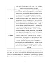 Besiskiriančių ir išsiskyrusių šeimų vaikų problemos 6 puslapis