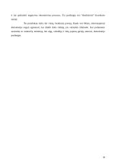 Biurokratijos politika 18 puslapis