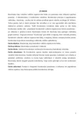 Biurokratijos politika 3 puslapis