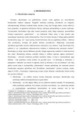 Biurokratijos politika 4 puslapis