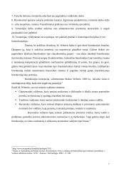 Biurokratijos politika 7 puslapis