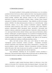 Biurokratijos politika 8 puslapis