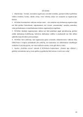 Biurokratijos formavimo principai 11 puslapis