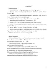 Biurokratijos formavimo principai 12 puslapis