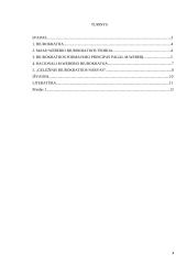 Biurokratijos formavimo principai 3 puslapis