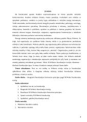 Biurokratijos formavimo principai 4 puslapis
