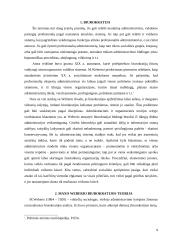 Biurokratijos formavimo principai 5 puslapis