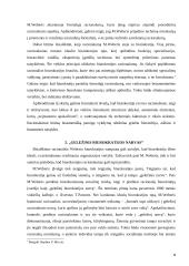Biurokratijos formavimo principai 9 puslapis