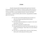 Biurokratijos formavimosi principai 13 puslapis