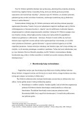 Biurokratijos formavimosi principai 6 puslapis