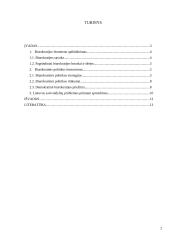 Biurokratijos vaidmuo politikos formavime 2 puslapis