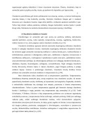 Charakteris, charakterio bruožai 3 puslapis