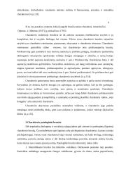 Charakteris, charakterio bruožai 10 puslapis