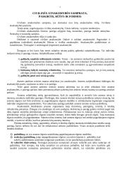 Civilinės atsakomybės pagrindinės temos 2 puslapis