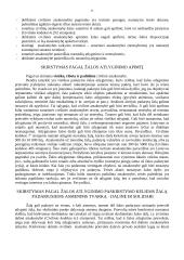 Civilinės atsakomybės pagrindinės temos 11 puslapis