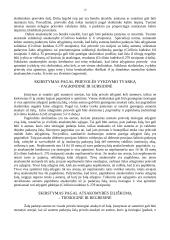 Civilinės atsakomybės pagrindinės temos 12 puslapis