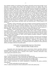 Civilinės atsakomybės pagrindinės temos 13 puslapis