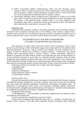 Civilinės atsakomybės pagrindinės temos 15 puslapis