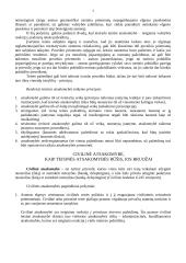 Civilinės atsakomybės pagrindinės temos 3 puslapis