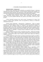 Civilinės atsakomybės pagrindinės temos 5 puslapis