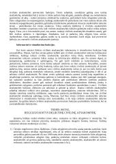 Civilinės atsakomybės pagrindinės temos 7 puslapis