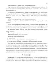Civilinė atsakomybė. Jos rūšys 12 puslapis