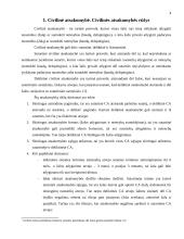 Civilinė atsakomybė. Jos rūšys 4 puslapis