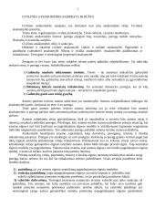 Civilinės atsakomybės samprata ir rūšys 3 puslapis