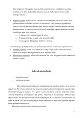 Civilinės atsakomybės taikymo sąlygų esmė ir reikšmė visuomenei 12 puslapis