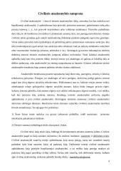 Civilinės atsakomybės taikymo sąlygų esmė ir reikšmė visuomenei 4 puslapis