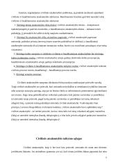 Civilinės atsakomybės taikymo sąlygų esmė ir reikšmė visuomenei 5 puslapis