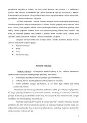 Civilinės atsakomybės taikymo sąlygų esmė ir reikšmė visuomenei 6 puslapis