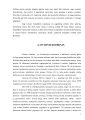 Civilinės teisės šaltiniai 7 puslapis