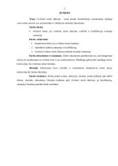 Civilinės teisės šaltiniai bei jų reikšmė ir kvalifikacija teisinėje sistemoje 2 puslapis