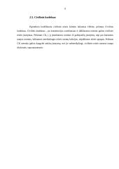 Civilinės teisės šaltiniai bei jų reikšmė ir kvalifikacija teisinėje sistemoje 6 puslapis