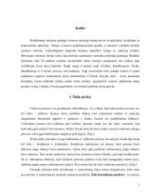 Lietuvos civilinis procesas 2 puslapis