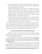 Lietuvos civilinis procesas 4 puslapis