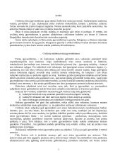 Civilinių teisių įgyvendinimas ir gynimas 2 puslapis
