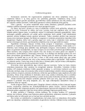 Civilinių teisių įgyvendinimas ir gynimas 5 puslapis