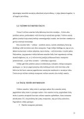 Civilinių teisių objektai 12 puslapis