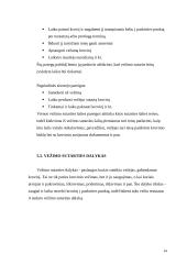 Civilinių teisių objektai 13 puslapis