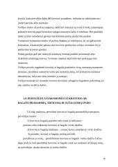 Civilinių teisių objektai 15 puslapis