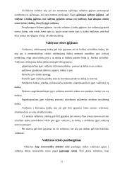 Daiktai, kaip civilinės teisės objektai 12 puslapis