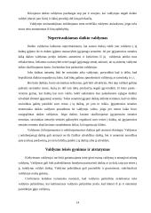 Daiktai, kaip civilinės teisės objektai 14 puslapis