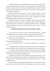 Daiktai, kaip civilinės teisės objektai 17 puslapis