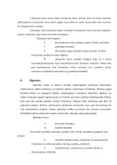 Daiktai kaip civilinės teisės objektai 17 puslapis